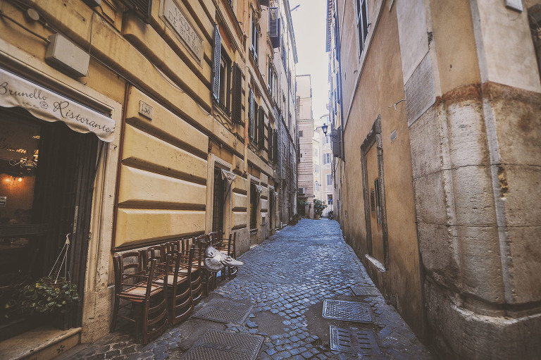 GREY MOSS : christmas in rome! more photos in the journal! https://greymoss.com/christmas-in-rome-part-five