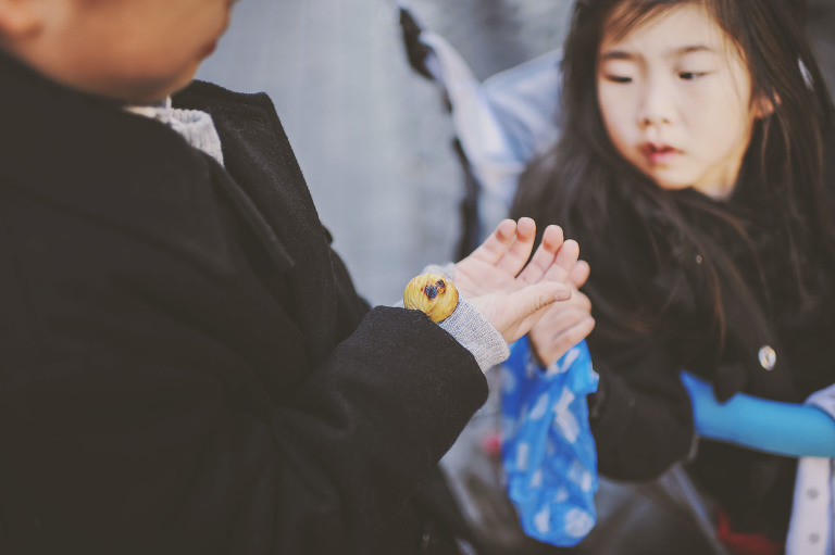 GREY MOSS : christmas in rome! more photos in the journal! https://greymoss.com/christmas-in-rome-part-five