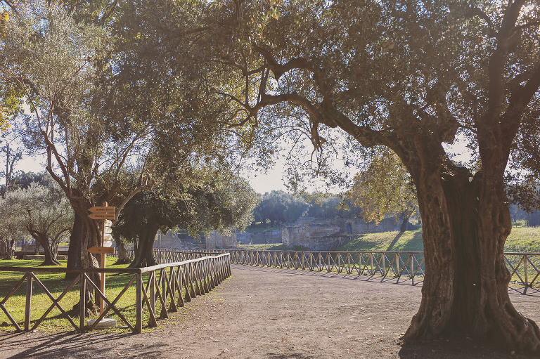 GREY MOSS : christmas in rome! more photos in the journal! https://greymoss.com/christmas-in-rome-part-six