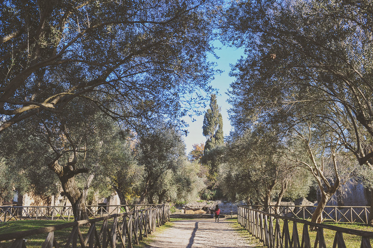 GREY MOSS : christmas in rome! more photos in the journal! https://greymoss.com/christmas-in-rome-part-six