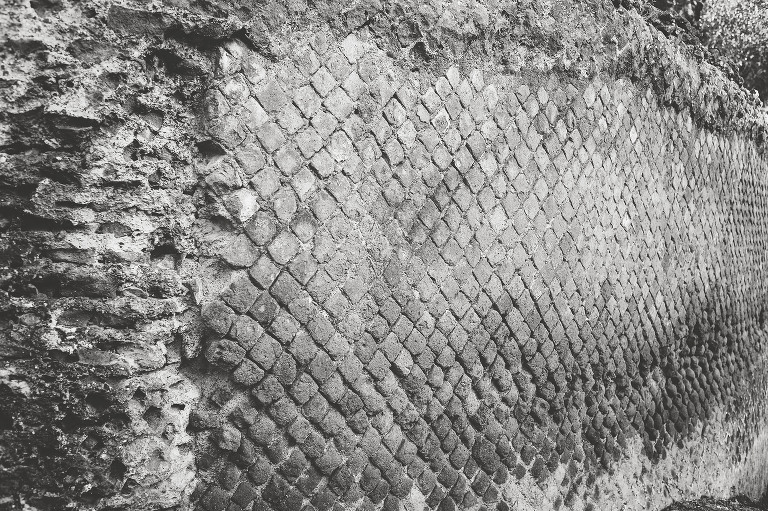 GREY MOSS : christmas in rome! more photos in the journal! https://greymoss.com/christmas-in-rome-part-six