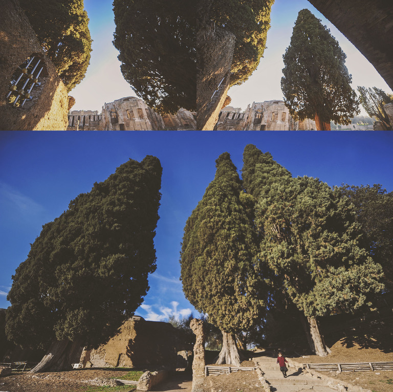 GREY MOSS : christmas in rome! more photos in the journal! https://greymoss.com/christmas-in-rome-part-six