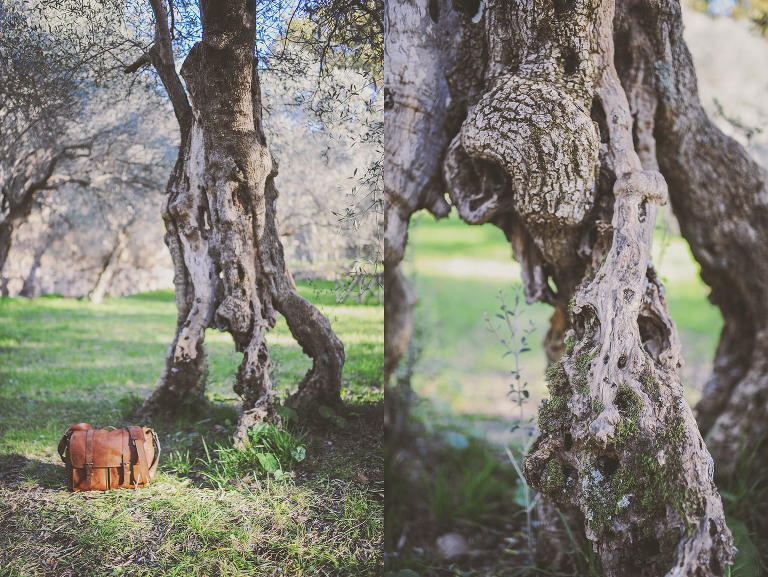GREY MOSS : christmas in rome! more photos in the journal! https://greymoss.com/christmas-in-rome-part-six