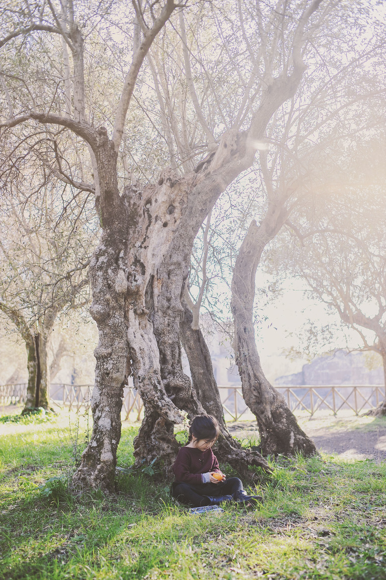 GREY MOSS : christmas in rome! more photos in the journal! https://greymoss.com/christmas-in-rome-part-six