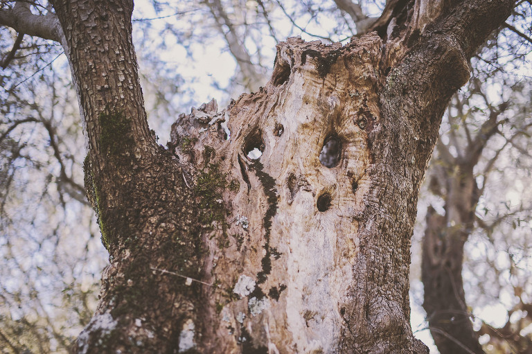 GREY MOSS : christmas in rome! more photos in the journal! https://greymoss.com/christmas-in-rome-part-six
