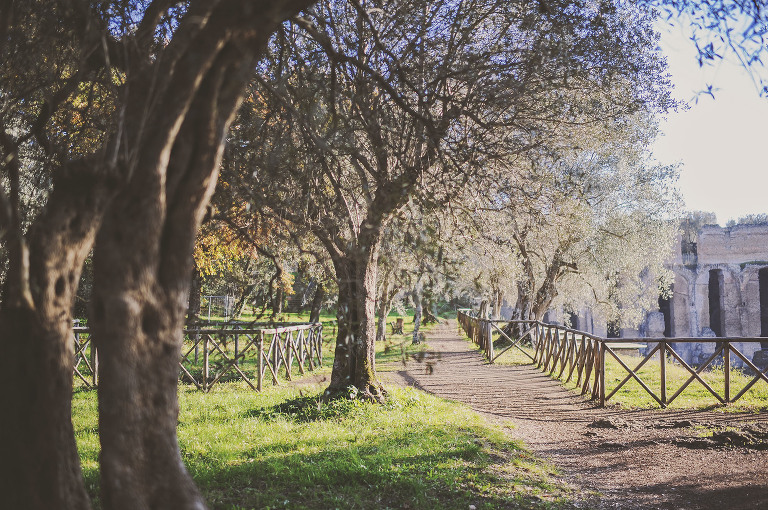 GREY MOSS : christmas in rome! more photos in the journal! https://greymoss.com/christmas-in-rome-part-six
