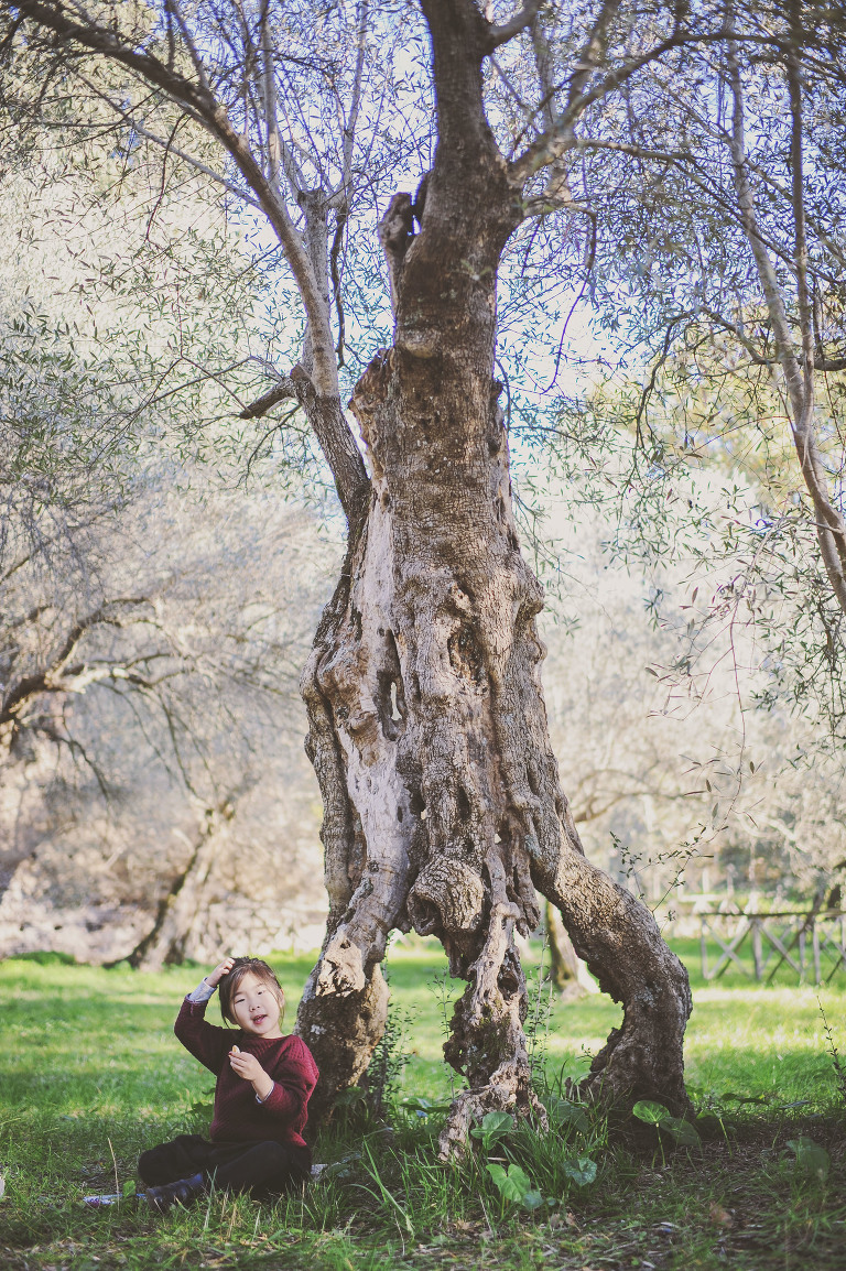 GREY MOSS : christmas in rome! more photos in the journal! https://greymoss.com/christmas-in-rome-part-six