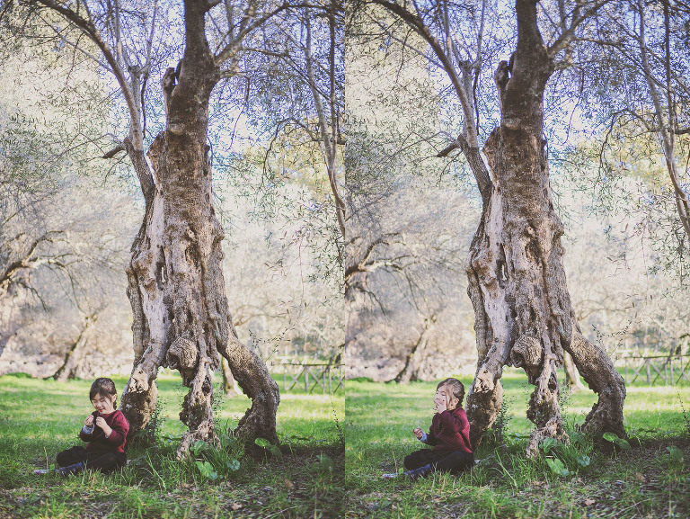 GREY MOSS : christmas in rome! more photos in the journal! https://greymoss.com/christmas-in-rome-part-six