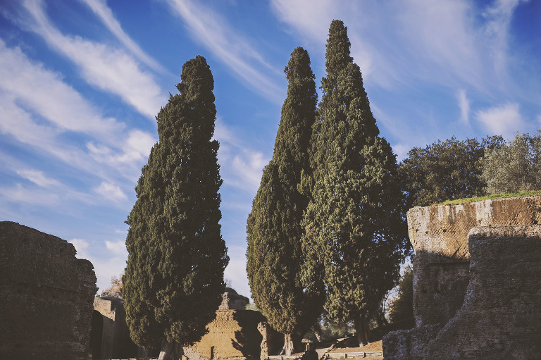 GREY MOSS : christmas in rome! more photos in the journal! https://greymoss.com/christmas-in-rome-part-six