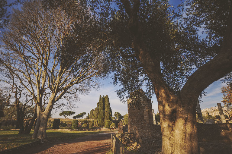 GREY MOSS : christmas in rome! more photos in the journal! https://greymoss.com/christmas-in-rome-part-six
