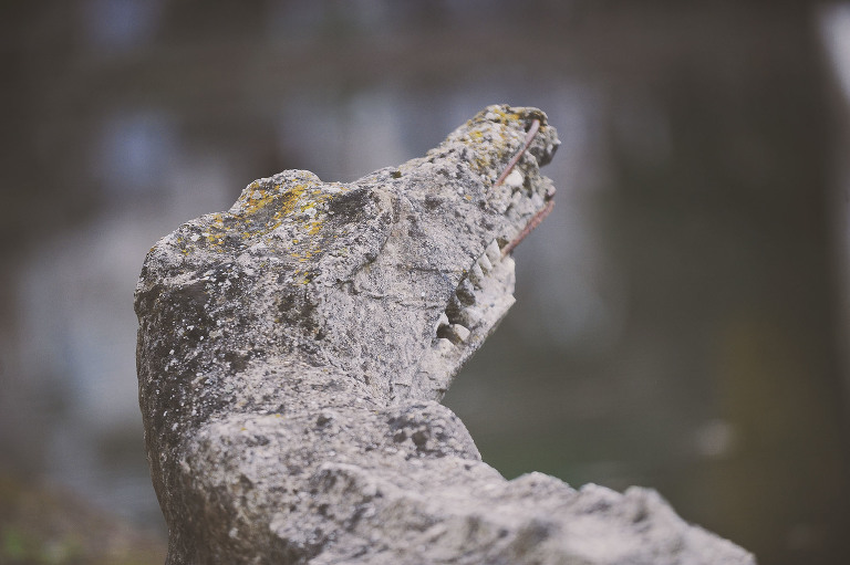 GREY MOSS : christmas in rome! more photos in the journal! https://greymoss.com/christmas-in-rome-part-six
