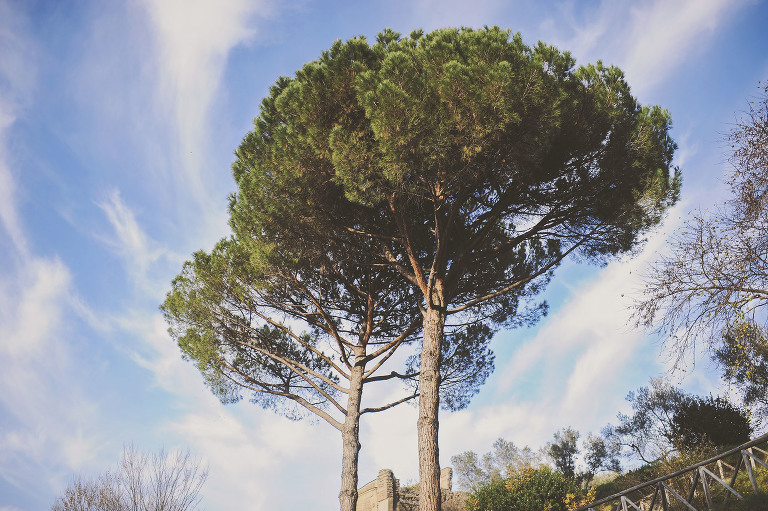 GREY MOSS : christmas in rome! more photos in the journal! https://greymoss.com/christmas-in-rome-part-six