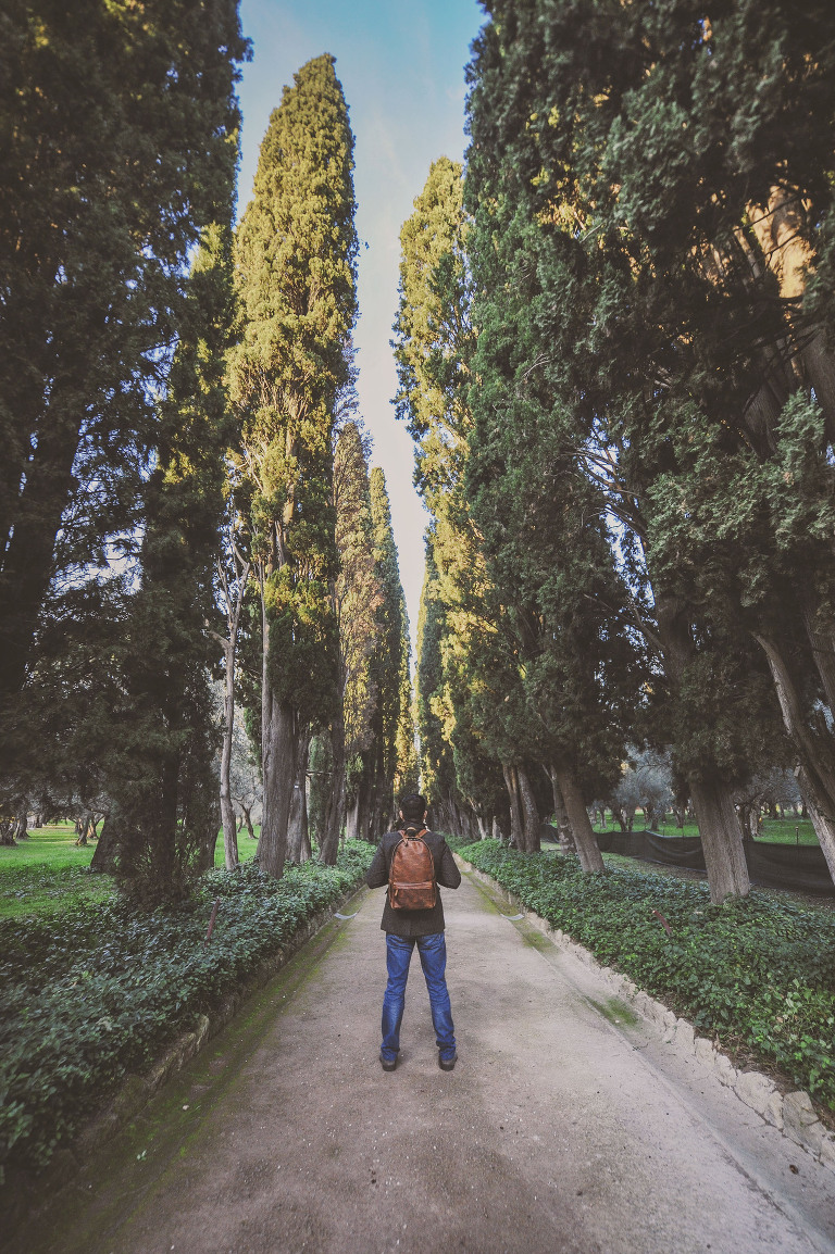 GREY MOSS : christmas in rome! more photos in the journal! https://greymoss.com/christmas-in-rome-part-six