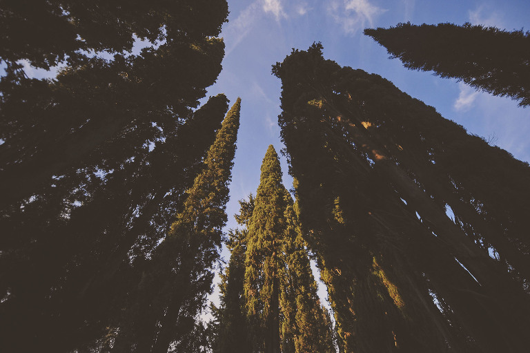 GREY MOSS : christmas in rome! more photos in the journal! https://greymoss.com/christmas-in-rome-part-six