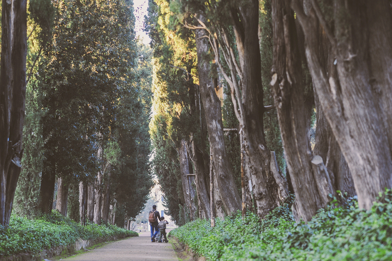 GREY MOSS : christmas in rome! more photos in the journal! https://greymoss.com/christmas-in-rome-part-six