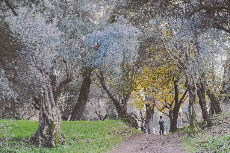 GREY MOSS : christmas in rome! more photos in the journal! https://greymoss.com/christmas-in-rome-part-six