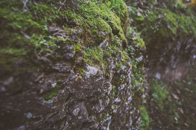 GREY MOSS : christmas in rome! more photos in the journal! https://greymoss.com/christmas-in-rome-part-six
