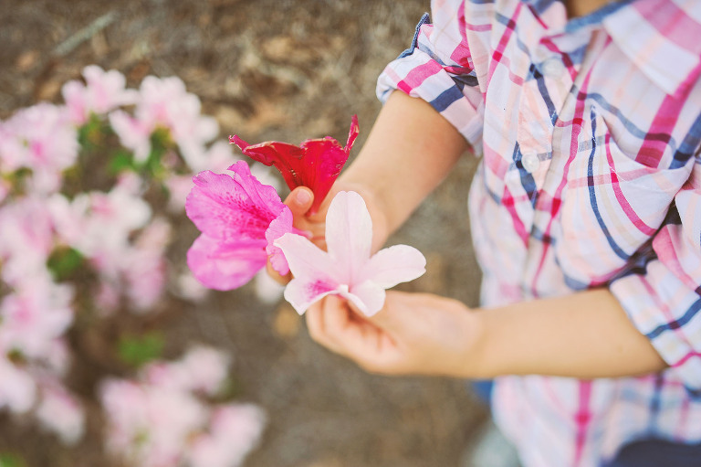 GREY MOSS : pink flowers & buzz lightyear! more photos in the journal! https://greymoss.com/pink-flowers-buzz-lightyear