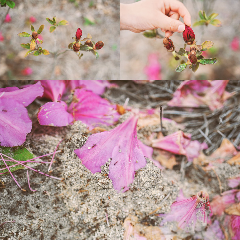 GREY MOSS : pink flowers & buzz lightyear! more photos in the journal! https://greymoss.com/pink-flowers-buzz-lightyear