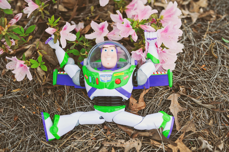 GREY MOSS : pink flowers & buzz lightyear! more photos in the journal! https://greymoss.com/pink-flowers-buzz-lightyear