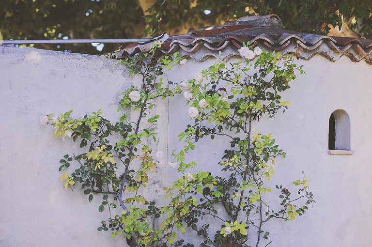 GREY MOSS : summer in provence! more photos in the journal! https://greymoss.com/summer-in-provence-part-one/