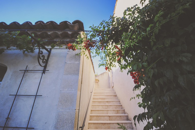 GREY MOSS : summer in provence! more photos in the journal! https://greymoss.com/summer-in-provence-part-one/