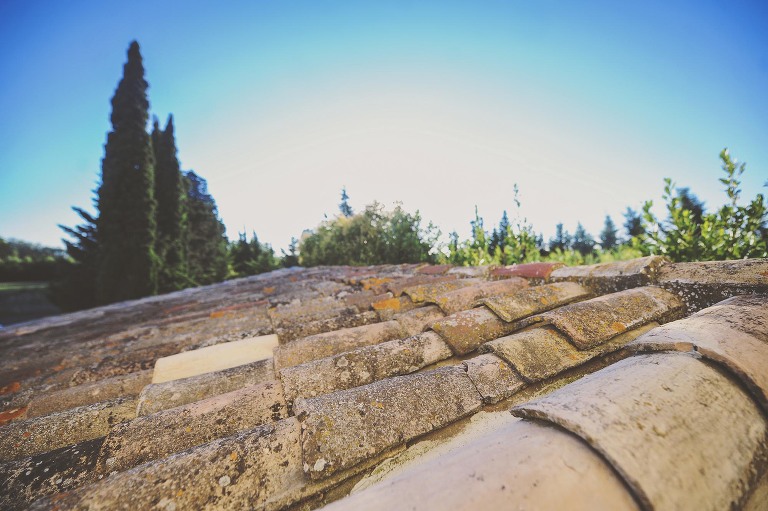 GREY MOSS : summer in provence! more photos in the journal! https://greymoss.com/summer-in-provence-part-one/