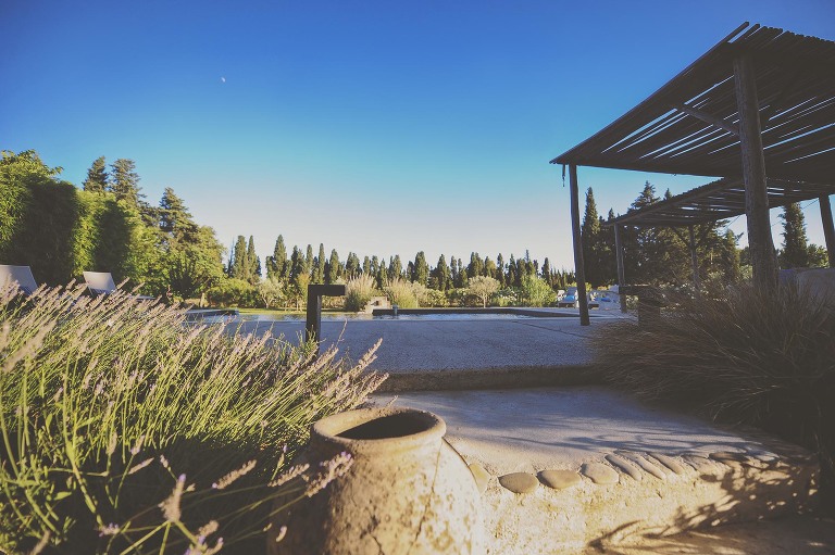 GREY MOSS : summer in provence! more photos in the journal! https://greymoss.com/summer-in-provence-part-one/