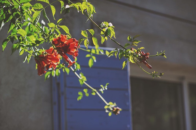 GREY MOSS : summer in provence! more photos in the journal! https://greymoss.com/summer-in-provence-part-one/