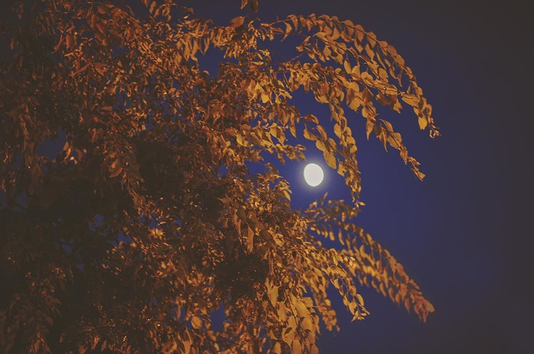 GREY MOSS : summer in provence! more photos in the journal! https://greymoss.com/summer-in-provence-part-one/