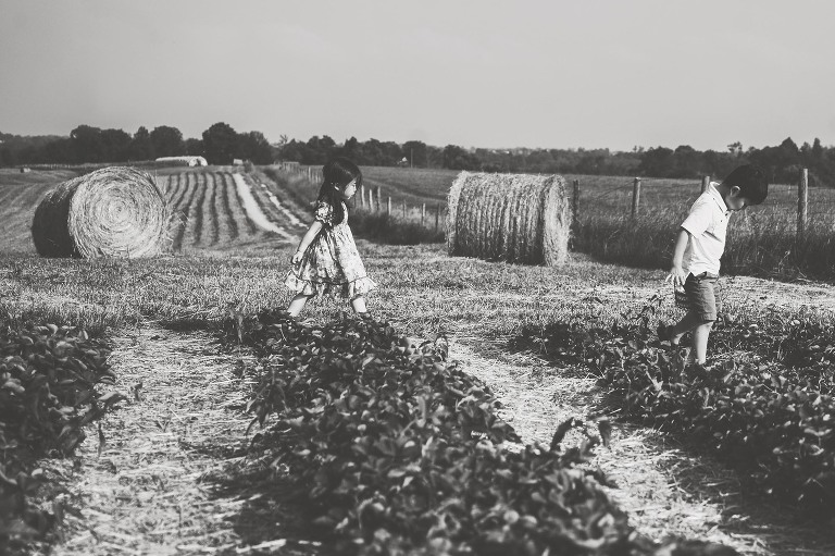 GREY MOSS : gone strawberry picking! more photos in the journal! https://greymoss.com/gone-strawberry-picking/