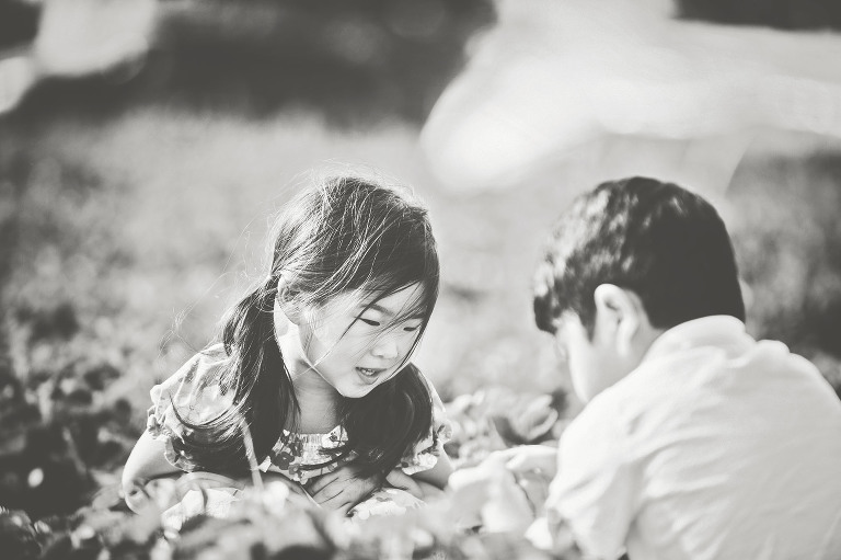 GREY MOSS : gone strawberry picking! more photos in the journal! https://greymoss.com/gone-strawberry-picking/