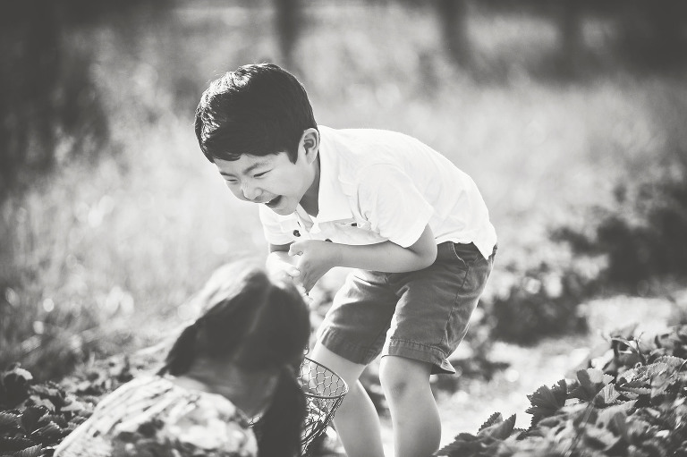 GREY MOSS : gone strawberry picking! more photos in the journal! https://greymoss.com/gone-strawberry-picking/