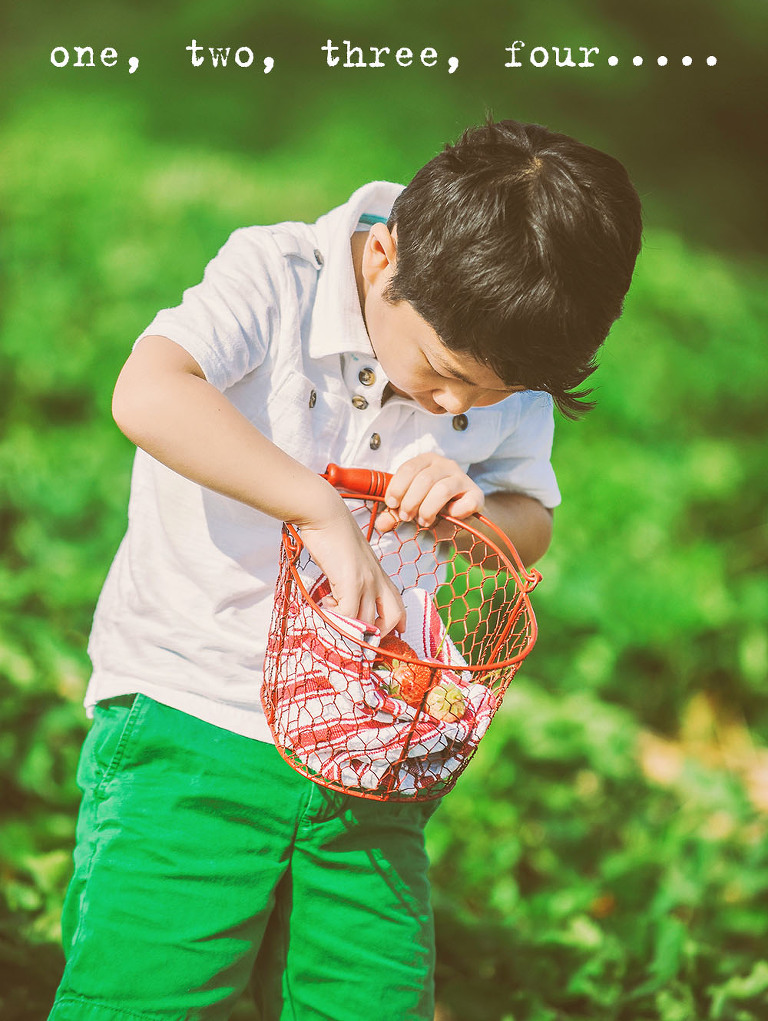 GREY MOSS : gone strawberry picking! more photos in the journal! https://greymoss.com/gone-strawberry-picking/