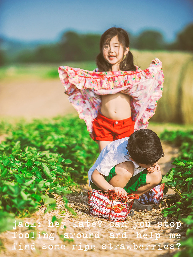 GREY MOSS : gone strawberry picking! more photos in the journal! https://greymoss.com/gone-strawberry-picking/