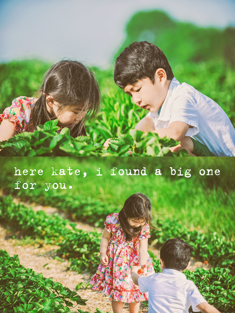 GREY MOSS : gone strawberry picking! more photos in the journal! https://greymoss.com/gone-strawberry-picking/