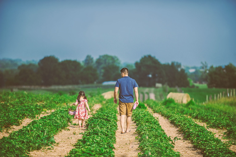 GREY MOSS : gone strawberry picking! more photos in the journal! https://greymoss.com/gone-strawberry-picking/