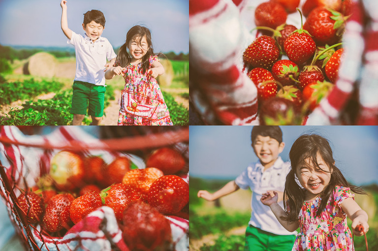 GREY MOSS : gone strawberry picking! more photos in the journal! https://greymoss.com/gone-strawberry-picking/