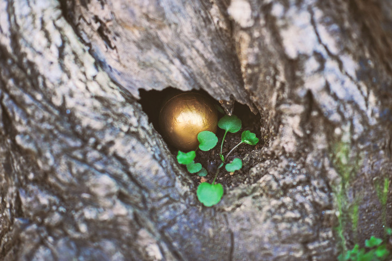 easter egg hunt with a BEAVER + painted floral eggs! more photos in the journal! https://greymoss.com/easter-egg-hunt-with-a-beaver/