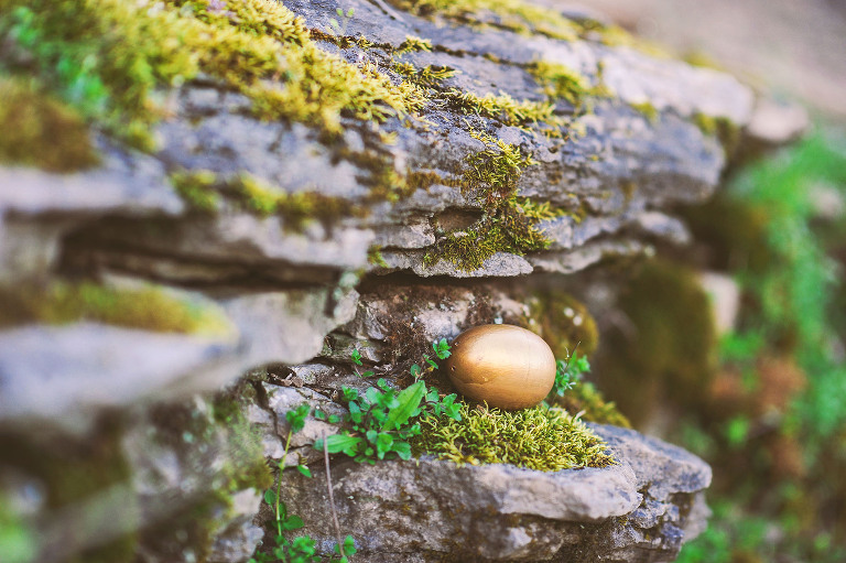 easter egg hunt with a BEAVER + painted floral eggs! more photos in the journal! https://greymoss.com/easter-egg-hunt-with-a-beaver/