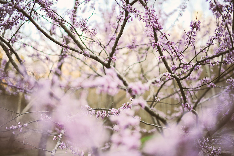 easter egg hunt with a BEAVER + painted floral eggs! more photos in the journal! https://greymoss.com/easter-egg-hunt-with-a-beaver/