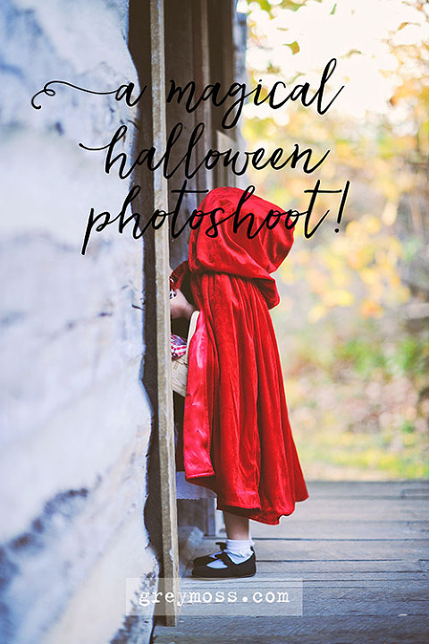 fun halloween photo shoot! more photos in the GREY MOSS journal! https://greymoss.com