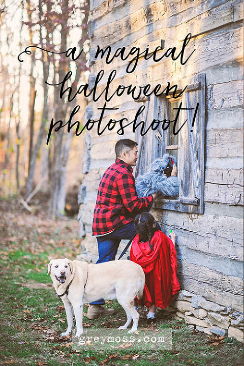 fun halloween photo shoot! more photos in the GREY MOSS journal! https://greymoss.com