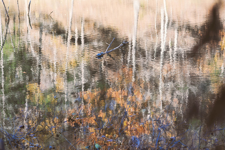 fun halloween photo shoot! more photos in the GREY MOSS journal! https://greymoss.com