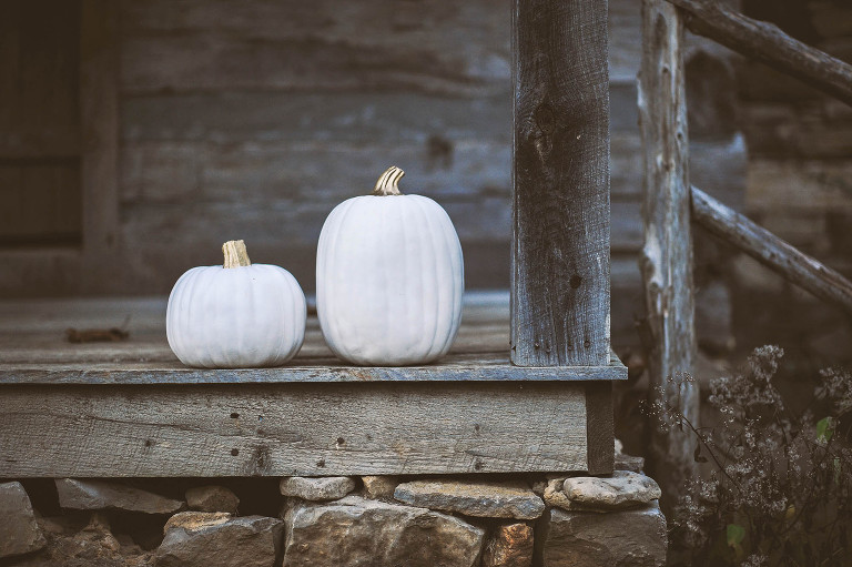 fun halloween photo shoot! more photos in the GREY MOSS journal! https://greymoss.com