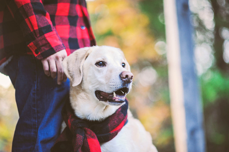 fun halloween photo shoot! more photos in the GREY MOSS journal! https://greymoss.com