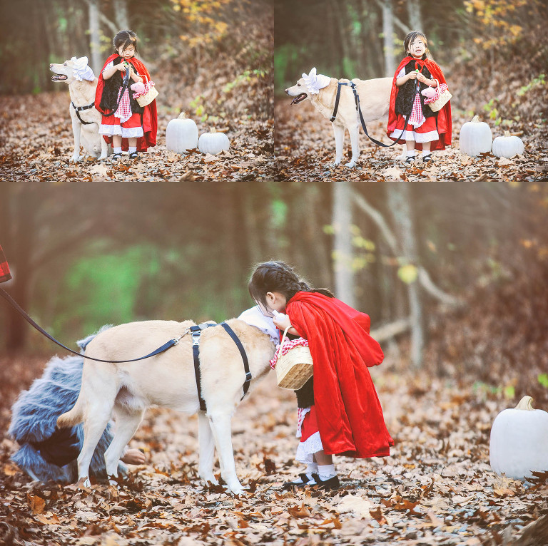 fun halloween photo shoot! more photos in the GREY MOSS journal! https://greymoss.com