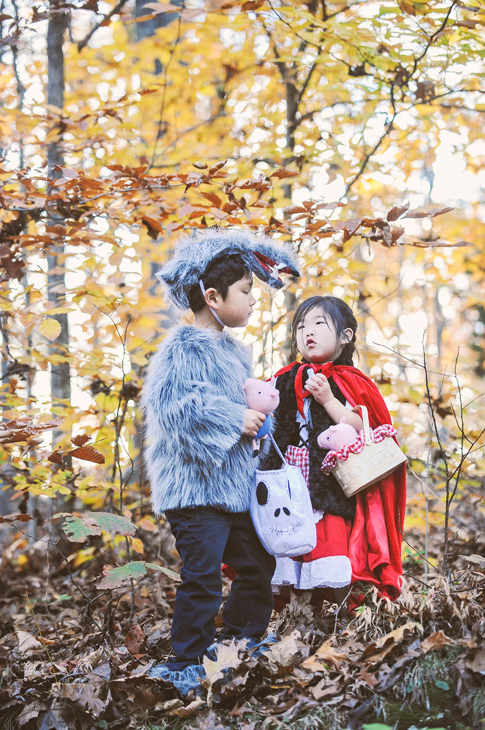 LITTLE RED RIDING HOOD & HER WOLVES! » GREY MOSS.® READ OUR JOURNAL!