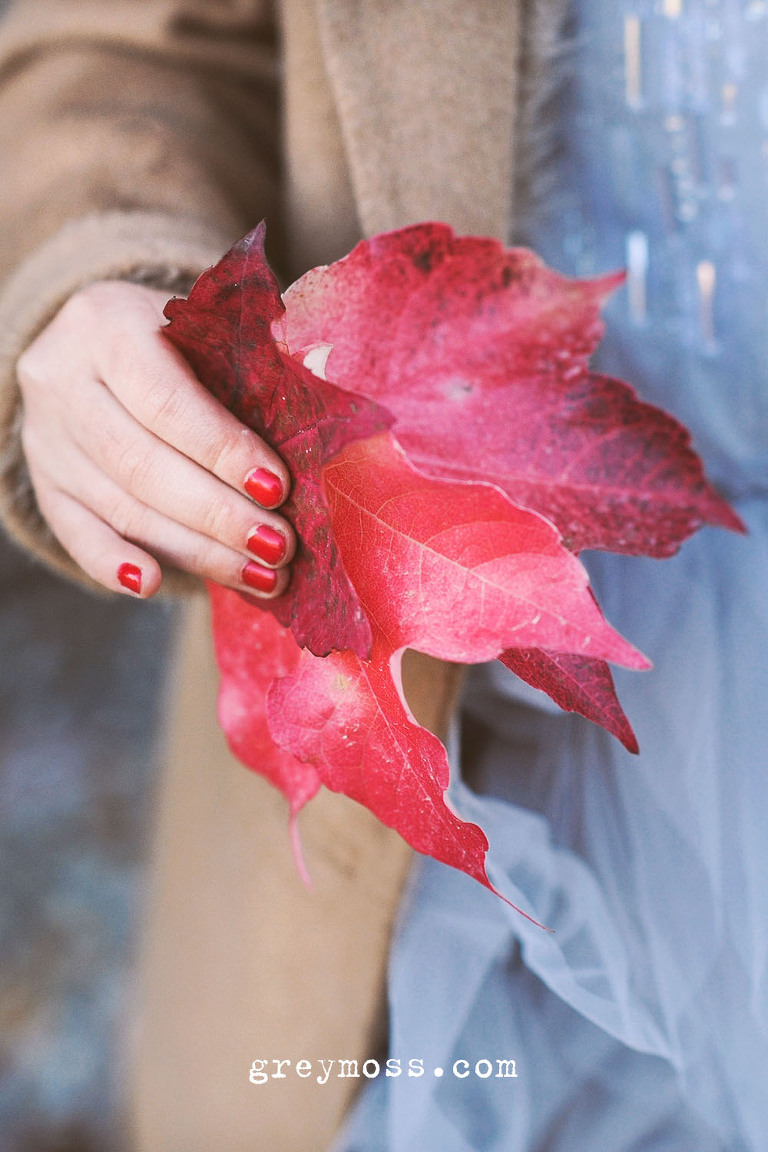 the last leaf by o'henry: read this story at the greymoss.com